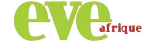 EveafriqueNews, Empowering Africa, One Story at a time.