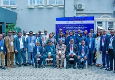 NCAA Banks on Regional Aviation Initiative to Boost Flight Safety