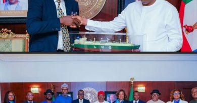 PPP BUSINESS MODEL RESPONSIBLE FOR SUCCESS OF NLNG – GOV FUBARA