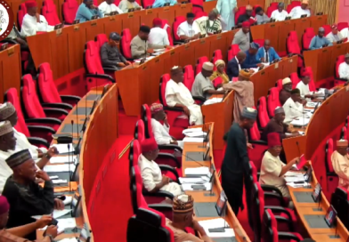 Senate passes Nigerian Port Economic Regulatory Agency Bill, receives NHRC nominees’ list